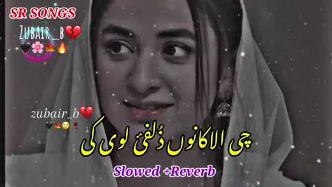 🍁🖤🎵CHE ALKANO🤴ZOLFI LOII KRE🙄JENAKE PREGDe🙄🤔#FORYOU🥀❤️ #FORYOU🥀❤️ #FORYOU🥀❤️ #trendingvideoviral 