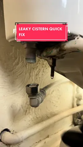 Fixing a leaky cistern, in this toilets it isnt that bad to change as they font have a close couple kit on the bottom. Follow for more plumbing tips & tricks 🔧  #thatplumbguy #fyps #toiletrepair #repair #howtoplumbing #plumbing #howto #howtoplumbing #notflushing 