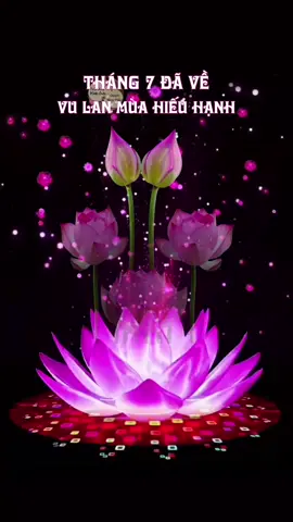 ⚘️⚘️Tháng 7 âm lịch, mùa Vu Lan báo hiếu. Xin chúc đấng sinh thành gặp nhiều may mắn, luôn vui vẻ, sức khỏe dồi dào để mãi bên con cháu.
