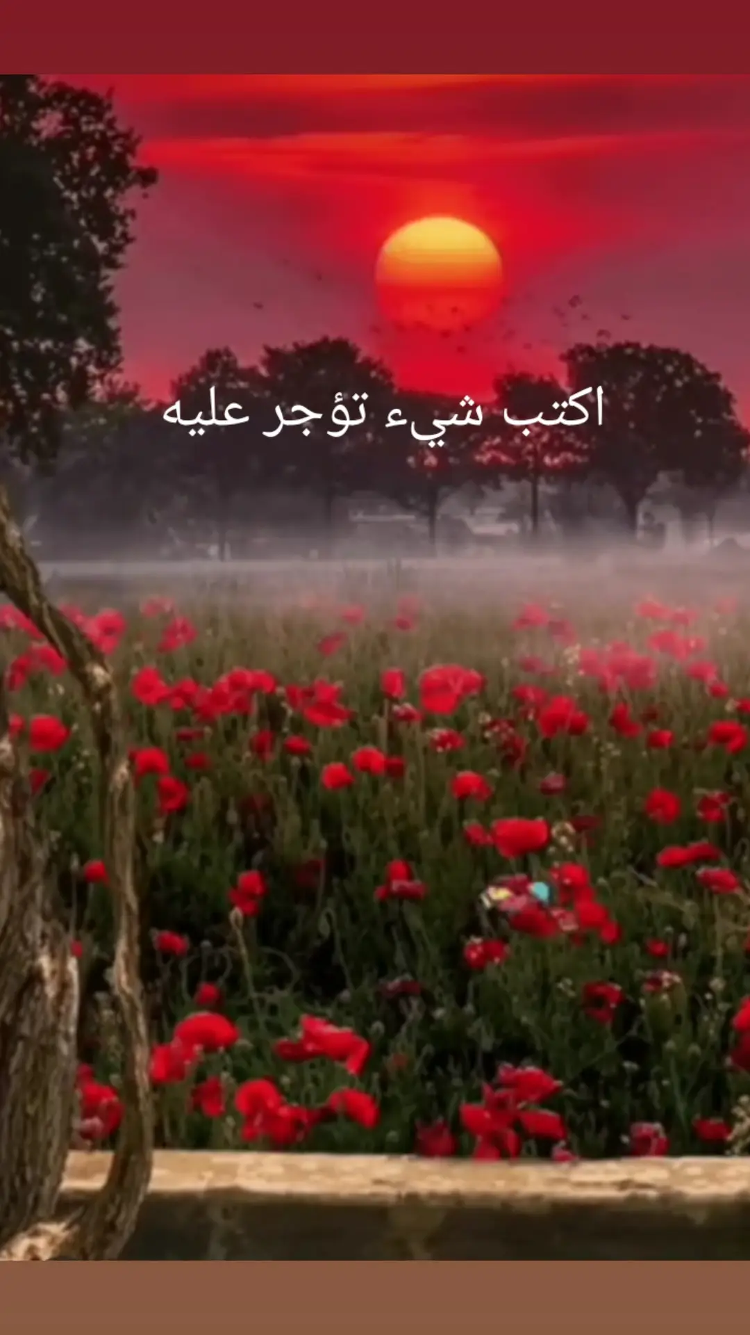 #اسمع_للاخر #اكثروا_من_الصلاة_على_نبينا_محمد #استغفرالله_العظيم_واتوب_اليه💙 #اذكروا_الله_يذكركم #دعاء_يريح_القلوب 