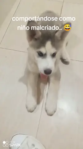 enseñándole cómo debe comportarse pero a él no le gusta 😅🥰