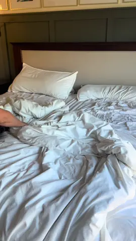 #brooklinen Making your home beautiful is the ultimate form of self care and feels like you’re sleeping in a 5-star hotel! ✨  My code TEDDYJAMES will save $20 off orders of $100+ To shop, follow the link in my bio! ✨  @Brooklinen is a luxury sheets company, creating high-quality home goods to elevate your home. True and tested quality, with over 100,000 5-star reviews you can trust.   #sponsored  #bedroominspo #bedroominspiration #bedroomaesthetic #bestsheets, #bedroommakeover #neutralhome #homeinspo 