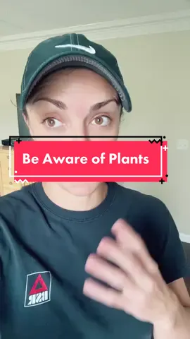 PARENTS please be aware of this!!! #MomsofTikTok #parentsoftiktok #babiesoftiktok #toddlersoftiktok #PetsOfTikTok #toxicplants 