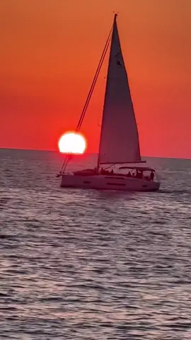 🌅 #rayofsolar 