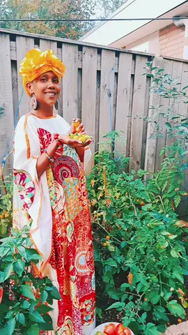 #growyourownfood #garden #tomatos #paprika #cherrytomato #pepper #soomali_tiktok #soomaligirls 