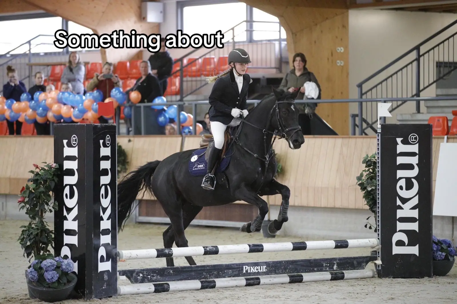 This horse is something else😍 #horses #mare #kwpn #equestrian #equine #showjumping #horses #fyp #equestrianlife #chestnut #6yo #pony #foryoupage #photos #GlowUp #mirabelle #❤️ #thebest #amazing #future #fy 