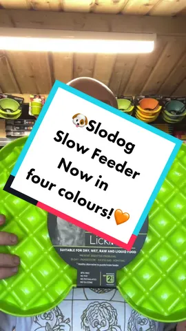 We now have all four colours in the Slodog Slow Feeder plate. 🐕Are you looking for a way to slow down your dog’s feeding habits? 😡 Tried other slow feeders that they got frustrated with? Check out the Slodog 🐶 #dogsoftiktok #tiktokshop #pettok #tiktokmademebuyit #dogguthealth