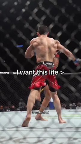 This and nothing else - - - - #Mma #mmafighter #mmahighlight #UFC #ufcfighter #boxing #boxingtraining #boxinglife #mcgregor #khabib #khabib_nurmagomedov #khabibnurmagomedov #conormcgregor #canelo #ryangarcia #motivation #fitnessmotivation #mmatraining #bjj #grappling #kickboxing #motivation #mmamotivation #boxingmotivation #gymmotivation 