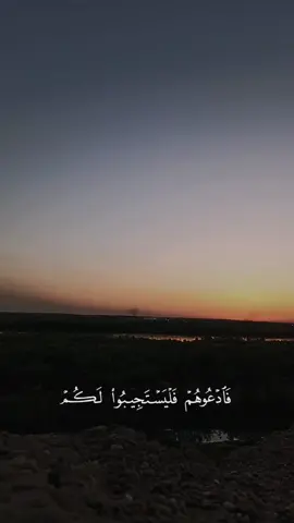 فادعوهم فليستجيبوا لكم إن كنتم صادقين , ( تأملوها )  . . . .#ياسر_الدوسري #محمد_اللحيدان #قضاءالدور #عمارياسر #3mar #❤️ #صلوا_على_رسول_الله 