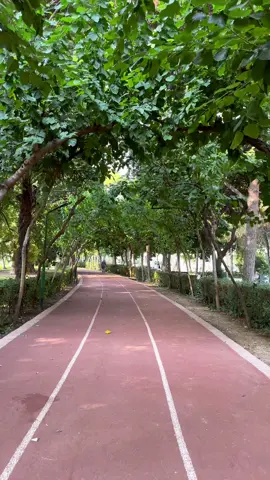 Kuş sesleri eşliğinde ara ara orada bulunan dostlarımızın da size eşlik ettiği bir konumda yürüyüş yapmak ister misiniz? İzmir Kültürkpark Fuar 🩷 Saatlerin nasıl geçtiğini anlayamayacağınız bir yer. Mutlaka bu tecrübeyi yaşayın 📸 #reels #reelitfeelit #kesfetteyiz #keşfetteyiz #izmir #kültürpark #ege #egebölgesi #gezi #gezilecekyer #gezilecekyerlerdebugün 