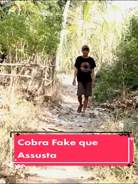 Cobra Fake que Assusta - Pegadinha #videosengracados #funny #prank #rir #pegadinhas #pranks #risada #engraçado #pegadinha #humor 