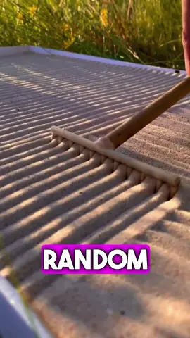 Omg 😱 . . . . . . . . . . . #randomfacts #facts #satisfyingvideos #hechos #tiktok #tiktokindia 