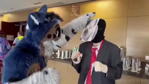 spy in furry convention #tf2 