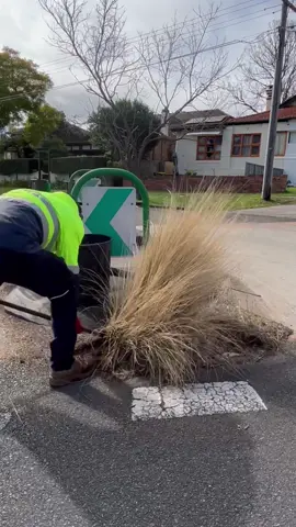 No comment from me! #wow #cleaning #street #clean #satisfying #sydney #council #australia #nathanslawnsandgardens #asmr #asmrvideo #satisfyingvideo 