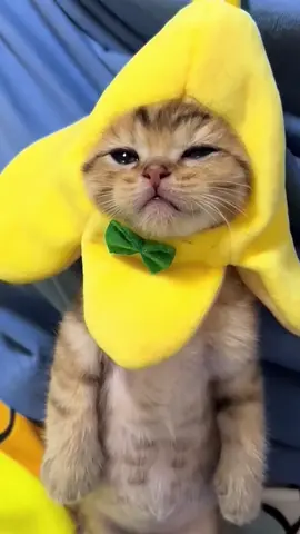 🥰