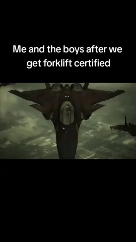 they don't have enough surface to air missiles to resist us. #funny #memes #gentleman #meme #ace #combat #acecombat #acecombat5