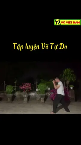 Tập luyện Võ Tự Do Việt Nam #votudo #vocotruyen #martialarts #xuhuong 