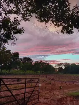 más allá del cielo - Diomdes Díaz #vallenato #parati #diomedesdiaz #colombia 