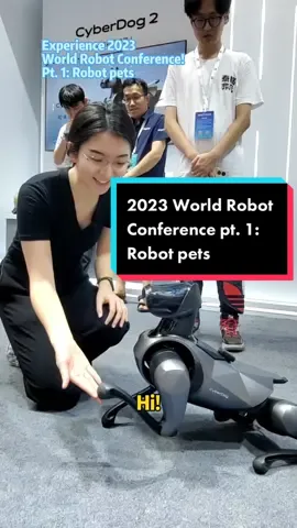 #Robot animals have attracted a lot of attention in the 2023 World Robot Conference. Take a look! #RoboDog #CyberDog #Dog #Cat #Animal #China #Robotics #Xiaomi #ElephantElectronics #Chinese #animals #robots #robotic #robotdog #robotcat 