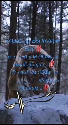 #ᗩԀαĽetĽi ᗷiя İηsαηıм ᗷeη ‼️  н u z u я u м OĽαη ' ın #мutĽuĽuquu ..‼️ - ᗪ e я Ԁ i м OĽαη ' ın  ______________#Sıkıntısı OĽuяuм ..‼️ ⚔️✌️⚔️