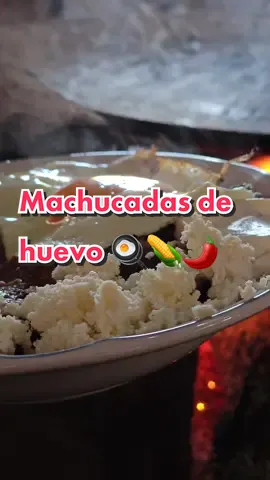 Les presento las deliciosas machucadas de Doña Sofi en La Casa del Humo, Santiago Juxtlahuaca. 😍🌮 Este es, sin duda, uno de mis desayunos favoritos. 🤤❤️  Consiste en una tortilla untada con manteca, bañada en salsa estilo enchiladas. Además, lleva queso, crema fresca y frijoles de la olla. ¡Una combinación espectacular! 🧀🥚🥓 Y si quieres llevarlo al siguiente nivel, puedes añadirle un tasajito oreado, un huevo al comal o incluso chicharrón. 🥩🍳🐷  ¿Quién más está listo para disfrutar de este almuerzo exquisito? ¡Etiqueta a tu compañero de desayuno! 👇🏽👫 #DesayunoDelicioso #ComidaMexicana #DoñaSofi #LaCasaDelHumo #ComidaOaxaqueña #SaborAutentico #Machucadas #DesayunoFavorito #SalsaEnchiladas #juxtlahuaca #santiagojuxtlahuaca #cocinamixteca #MomentoDelicioso #desayunodecampeones 