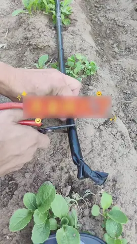 Sand in the pipes