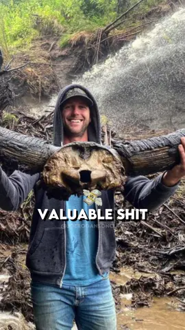 What would you do if you found a mammoth bone in your backyard? 🤔 🦣🦴 #jre #joe #joerogan #mammoth #boneyard #bones #welth #discovery #youngerdryas #postmalone #posty  Why Joe Rogan is so popular Where Joe Rogan podcast Which joe rogan podcast talks about the pyramids are joe rogan and dana white the same person what's joe rogan's net worth how did joe rogan get famous