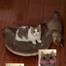 🥰