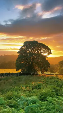 This mornings sunrise in the Strines // #foryou #fyp #travel #Nature #peakdistrict #Summer #sunrise 