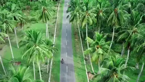 kota yang terlupakan(kota Barus)#estetik #kotatua#barus #kotabarus #fyp #viral #tapteng #masukberandafyp #estetikvideo 