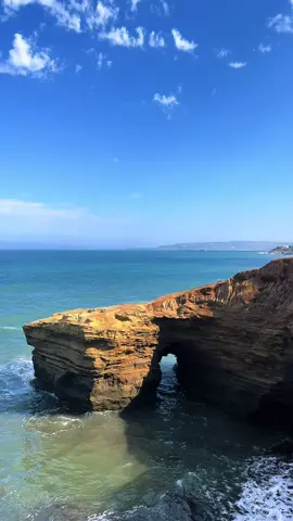 Take 2 minutes and relax at sunset cliffs, San Diego. Enjoy the view of Ocean Beach Pier in the distance. #oceanwaves #relaxation #dailyzen #nature #life #sandiego 