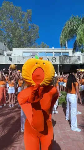 READY TO CRUSH RECRUITMENT!!🍊🧡 #aztheta #kappaalphatheta #universityofarizona #bumplikethis #bamarush 