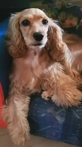 Mine NOW