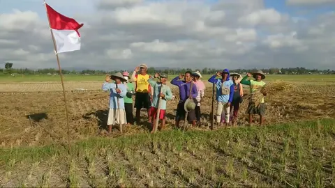 Hormat Bendera Petani Bawang Merah, Memperingati HUT RI ke 78 MEEDEKA!!! #upacarabendera #kemerdekaanindonesia #kemerdekaanindonesia🇮🇩 