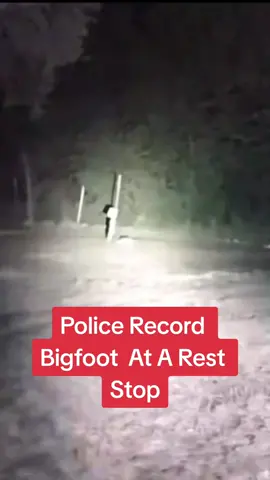 #fypシ #bigfoot #sasquach #police #cryptid #missing411 #usa🇺🇸 #nationalparks #scary #fypシ #usa_tiktok #fyp #screams 