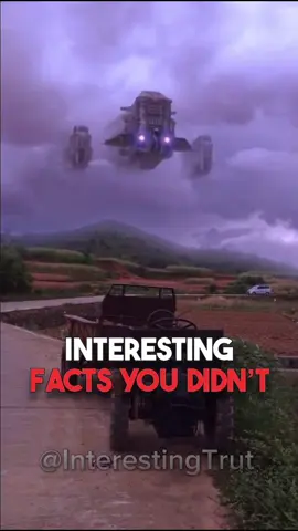 ⚠️⚠️ Interesting facts you didn’t know! 🧠💡 #facts #randomfacts #LearnOnTikTok #factsyoudidntknow #curiosities 