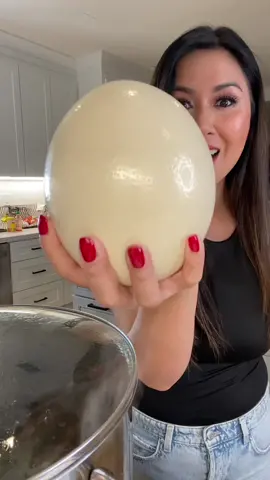 I made the Worlds largest Deviled Egg with a Ostrich Egg! I boiled it for 1 1/2 hours and then ice bath for 30 minutes. The shell is very hard so it took a while to crack and peel. Next scoop out the yolk and add mayo, mustard, sweet relish, salt and pepper. Squeeze back onto the egg and dust paprika and sprinkle chopped chives. It honestly just taste like a chicken egg! #ostrichegg #deviledeggs #eggrecipes 