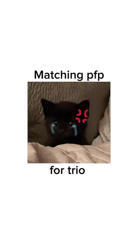 - Matching pfp for trio ! ☺️😌#fyppppppppppppppppppppppp #blowthisup #naayfay requested by : @s.ndreluvz 
