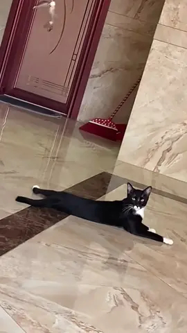 😂