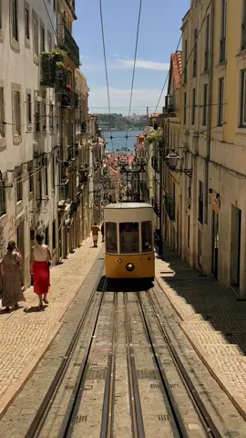 do not worry about not getting to see a tram in Lisbon #traveltiktoks #traveltok #femaletraveller #europeansummer #aesthetic #alfama #lisboa #visitportugal #summervibes #lisboaportugal #tram #tramride 