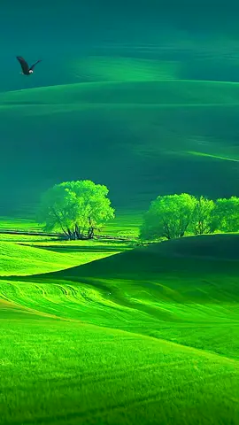 #landscape #nature #wallpaper #beautifuldestinations 