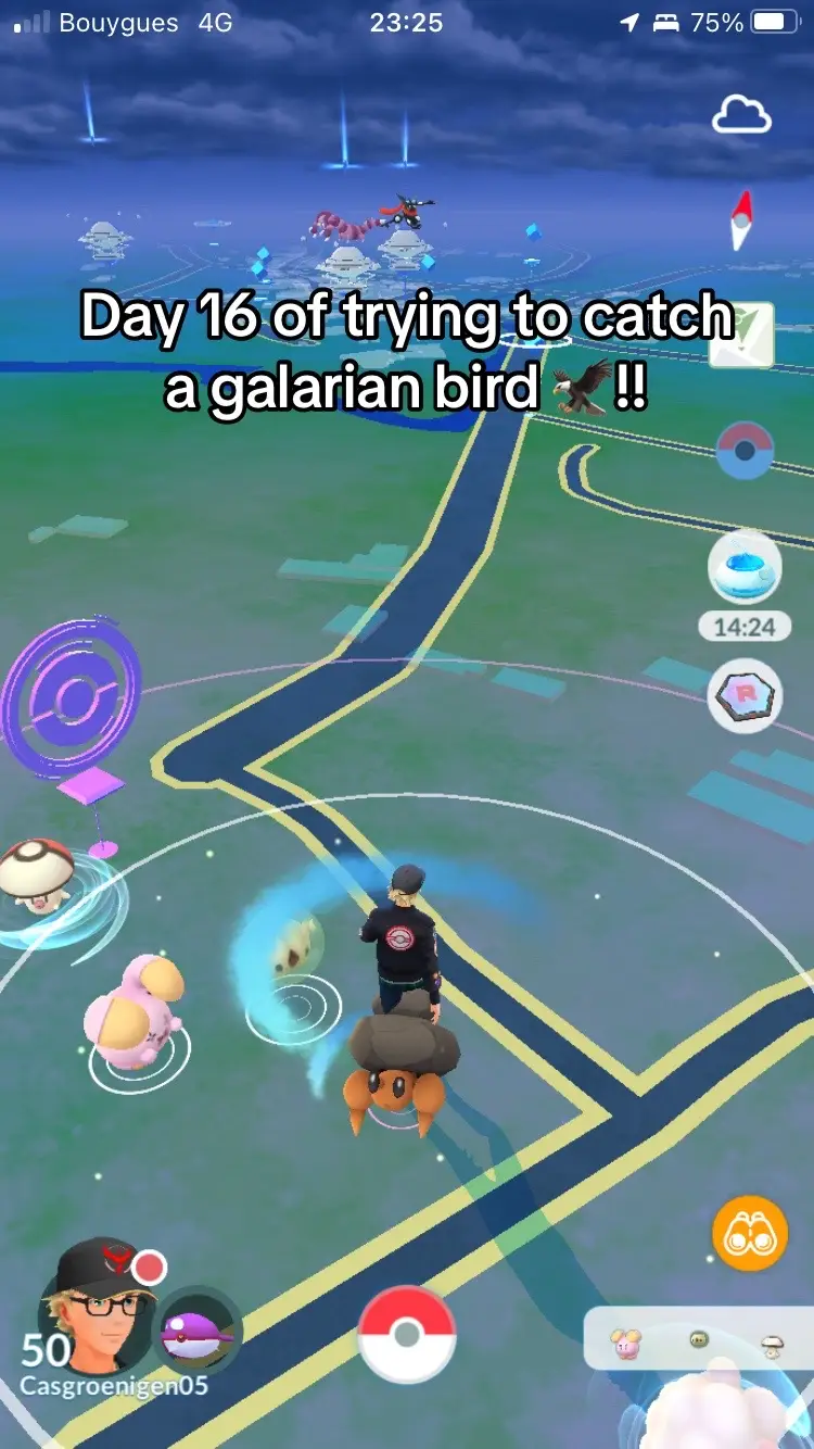 Day 16 of trying to catch a galarian bird!! This day i didnt catch much due to connection issues!  #pokemongo #pogochallenge #pogo #pokemontiktok #pokemongotrainer #pokemongodaily 