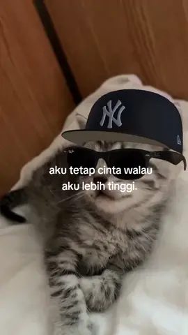 resiko cewek tinggi😭#fyp #berandatiktok 