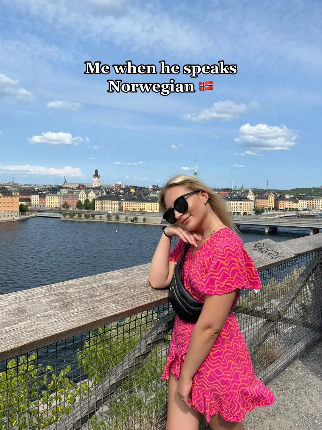 Norwegian 🇳🇴  #fyp #foryou #foryoupage #norway #norwegian #norsk #norsktiktok #norskspråk #livingabroad #travel #languages #learninglanguages #LearnOnTikTok #scandinavianlanguages #norskememes #lærnorsk 