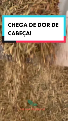 Garanta já na Fama natural 🌱 📲WhatsApp: (11) 93918-5934 📍 Av Alberto Byington, 791 Vila Maria Alta  #famanatural #lojadepeodutosnaturais #produtosnaturais #saudavel #cha #fypシ #foryou 