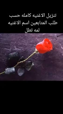 #الاردن🇯🇴 @𝕾𝖆𝖓𝖎𝖞𝖆𝖍 @ازهار الربيع ❣️❣️ 