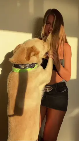 If yall haven’t yet, its time you met winston 🐕 