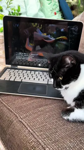Puss Puss 😻 likes to move ot move it 🔥 #cat #cats #foryoupage #fyp #catstictok #catlover #catlife #tictok #catlovers #kitten #tictokcat #kitty #pet #cute #Love #meow #welovecat #catoftheday #pets #kittens #fatty #animals #catlove #animal #cute #world #fatcats #petsoftictok #kittensoftictok #fatcat