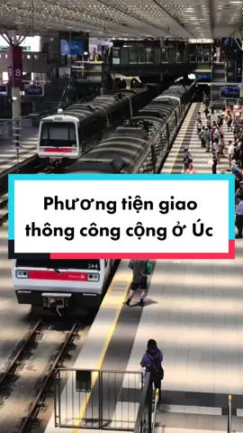 Phương tiện giao thông công cộng ở Úc #fyp#cuocsonguc#phunutuoi30#phunuhiendai#duhocuc#xuatkhaulaodong#noitienganh#LearnOnTikTok