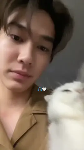 kdg suka pgn jdi kucingnya😽😭 #fyp #dew #dewjsu #dew_jsu #dewjirawat #dewjirawatsutivanisak #catlovers #thailand #thaienthu 